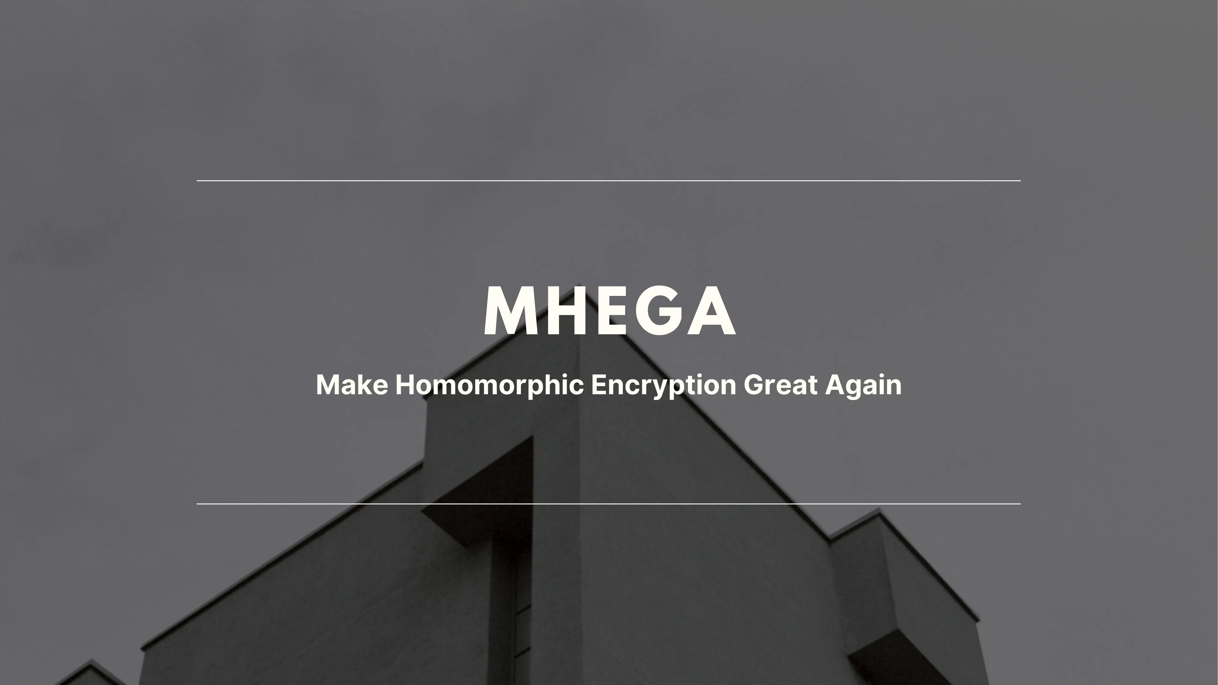 MHEGA - Make Homomorphic Encryption Great Again